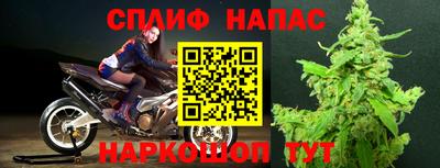круглые Камышлов