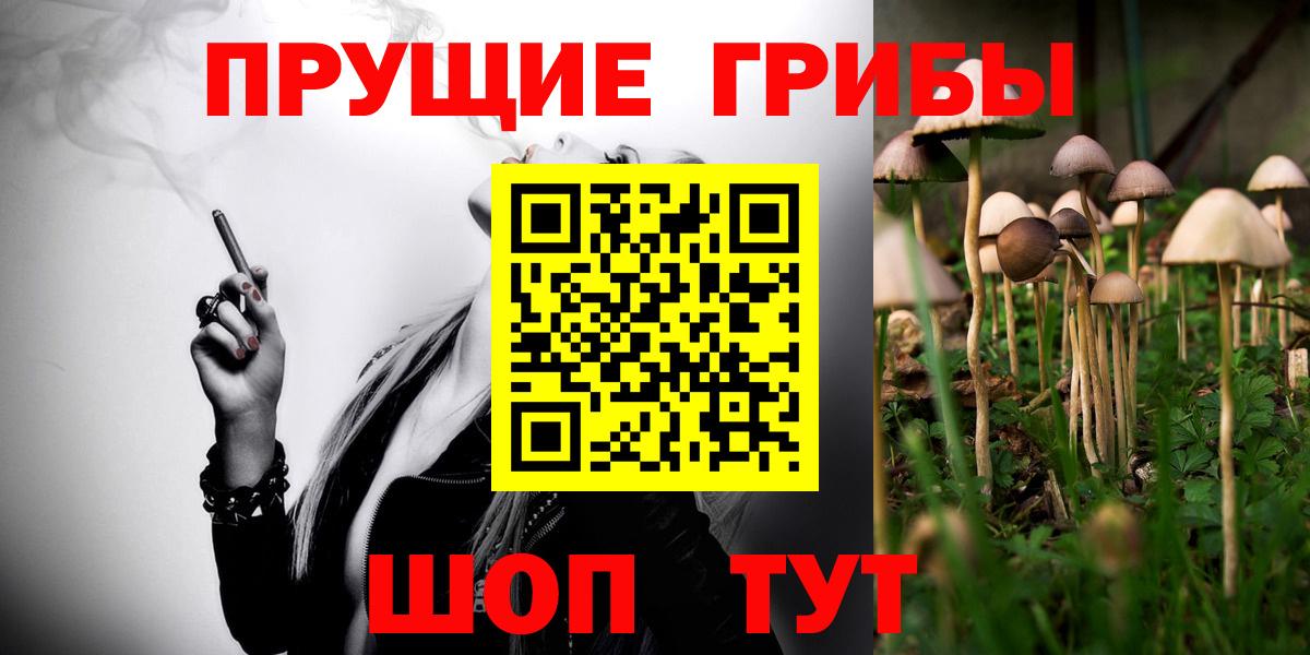 Галлюциногенные грибы Cubensis Конаково